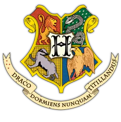 Image posted by the member