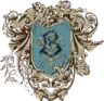 Image posted by the member
