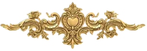 Image posted by the member