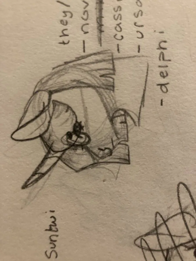 Image posted by the member