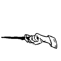 Image posted by the member