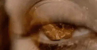 Image posted by the member