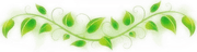 Image posted by the member