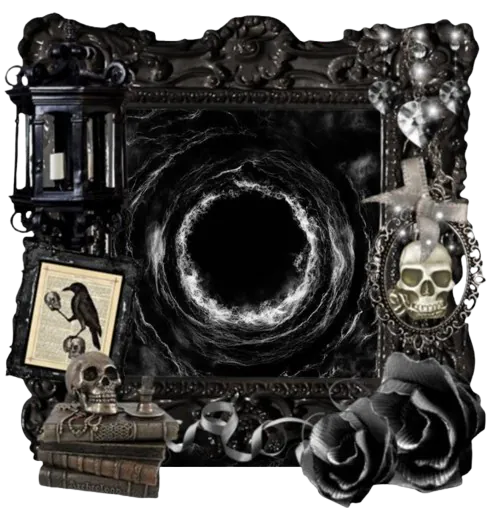 Image posted by the member
