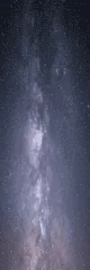 Image posted by the member