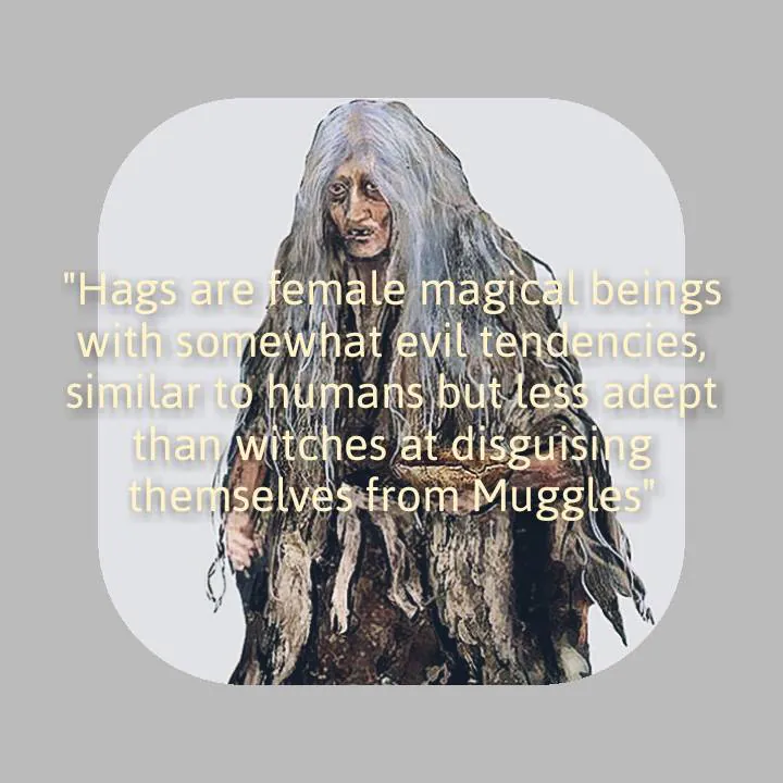 Image posted by the member