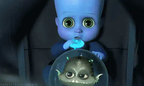 Image posted by the member