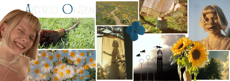 Image posted by the member