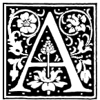Image posted by the member
