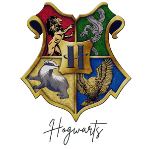 Image posted by the member
