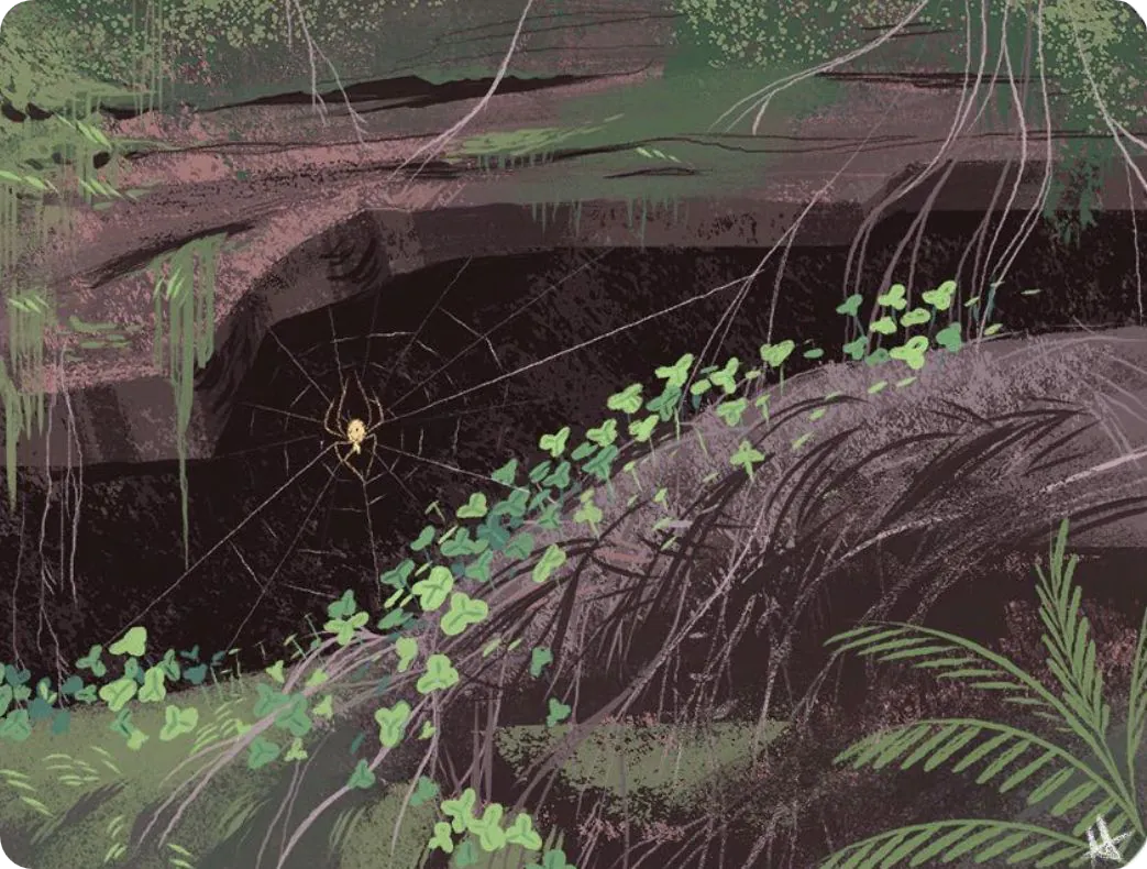 spiderweb