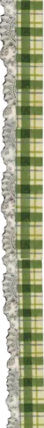 Image posted by the member