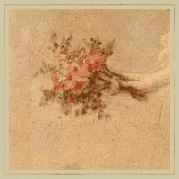 Image posted by the member