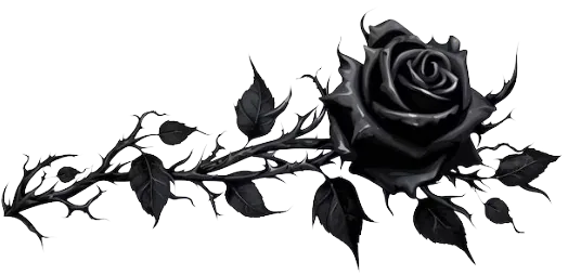 Image posted by the member