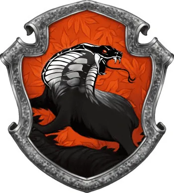 Image posted by the member