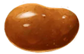 Image posted by the member
