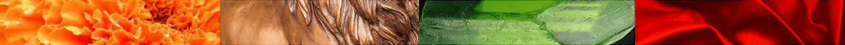 Image posted by the member