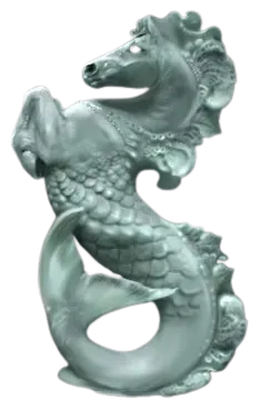 Image posted by the member
