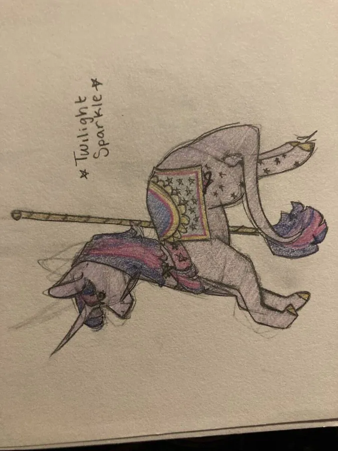 Image posted by the member