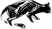 Image posted by the member