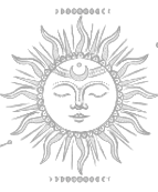 Image posted by the member