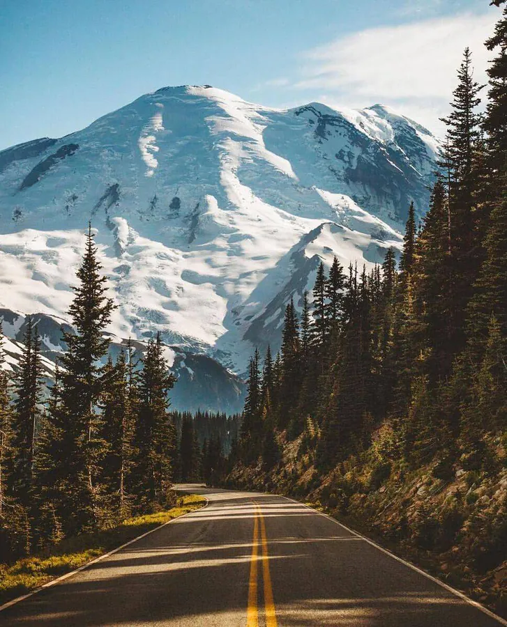 Image posted by the member