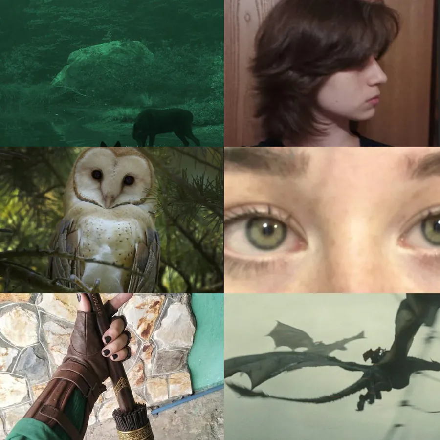 Green moodboard. Eyes, dragon, broom, book
