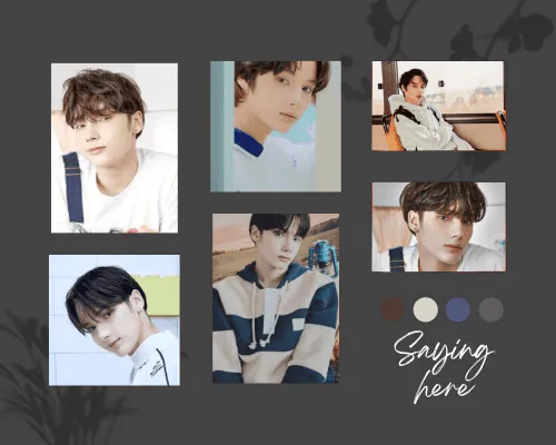 Image posted by the member