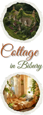 Image posted by the member