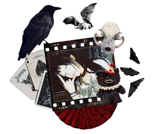 Image posted by the member