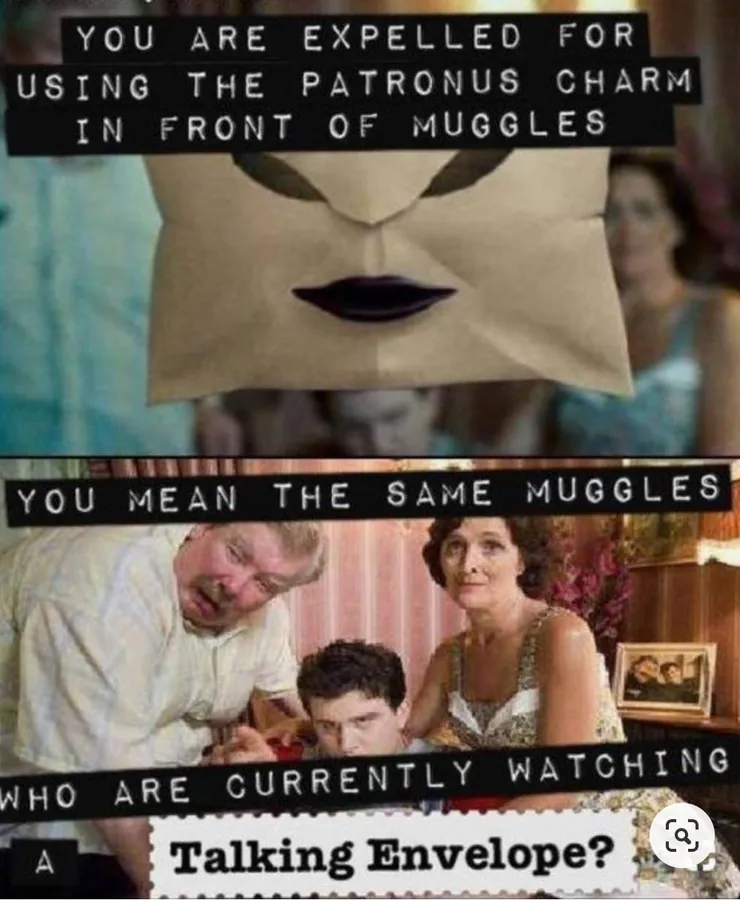 Image posted by the member