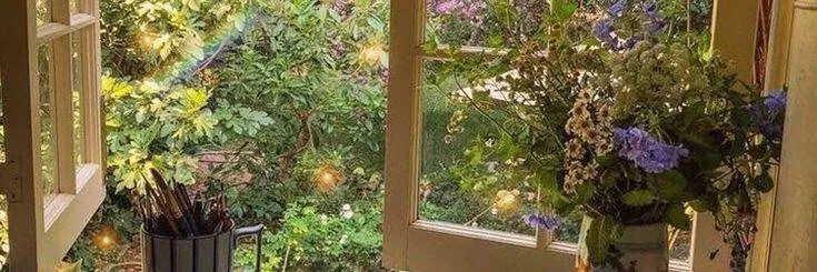 Image posted by the member