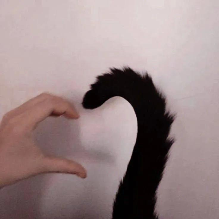 Image posted by the member