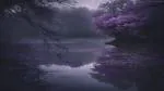 Image posted by the member