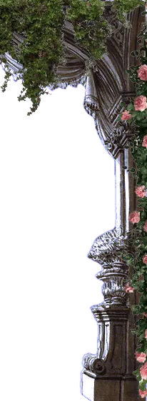 Image posted by the member