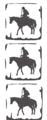 Image posted by the member