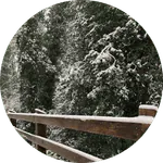 Image posted by the member