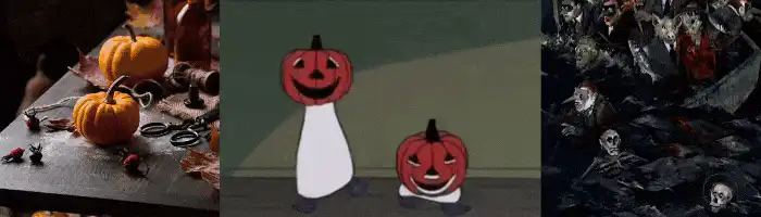 Image posted by the member