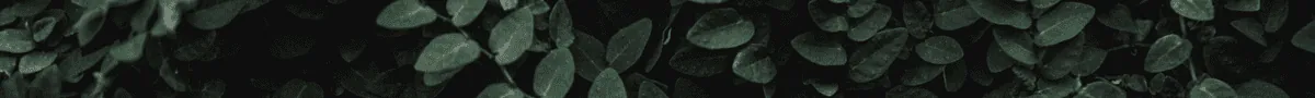 Image posted by the member