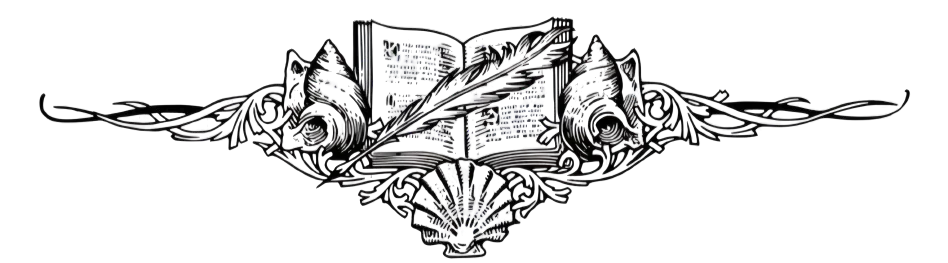 Image posted by the member