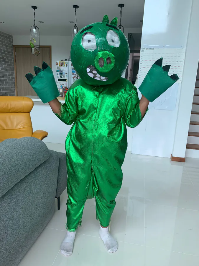 angry birds pig outfit
