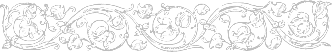 Image posted by the member