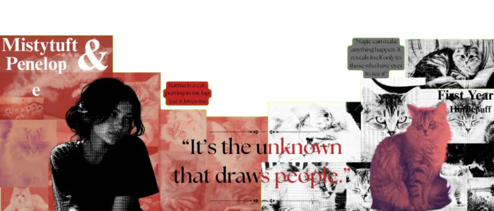Image posted by the member