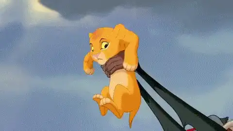 Image posted by the member