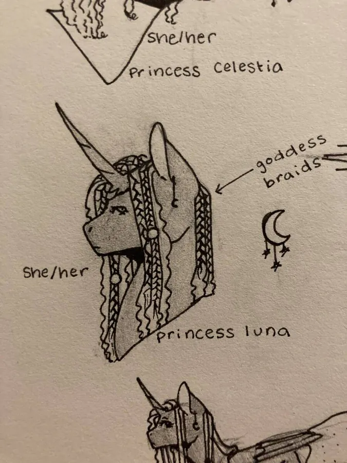 Image posted by the member