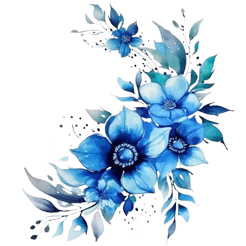 Image posted by the member