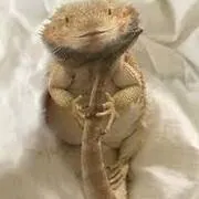 Image posted by the member