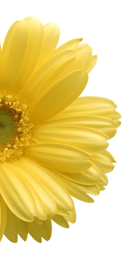 Image posted by the member