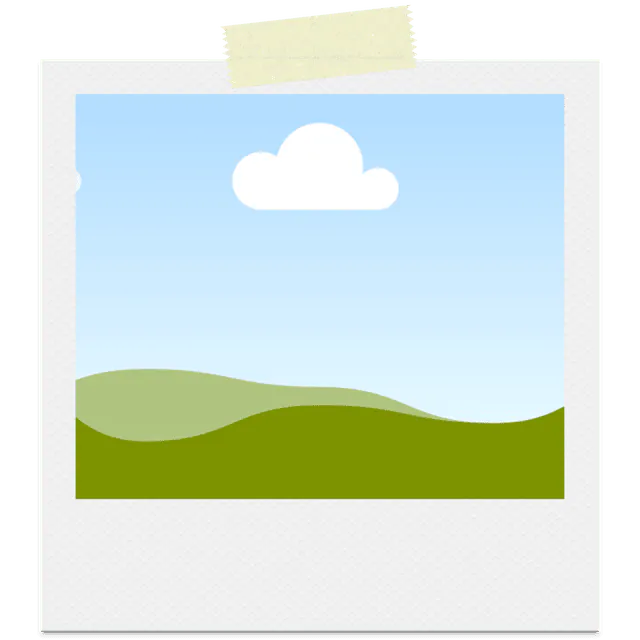 Image posted by the member