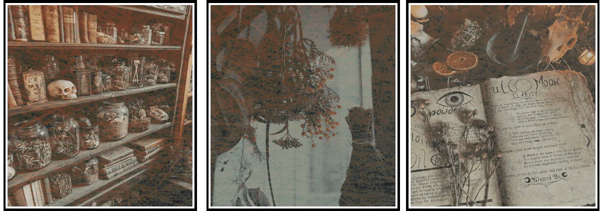 Image posted by the member